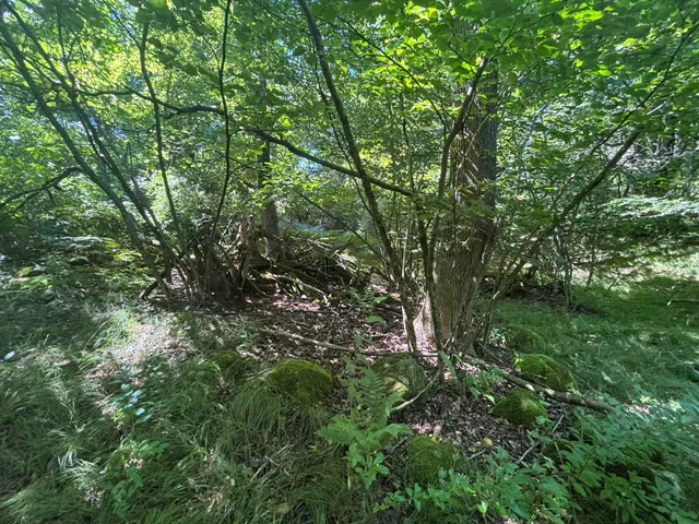 $45,000 | 10.45 A Campbell Rd Branch, Branch, MI 49402