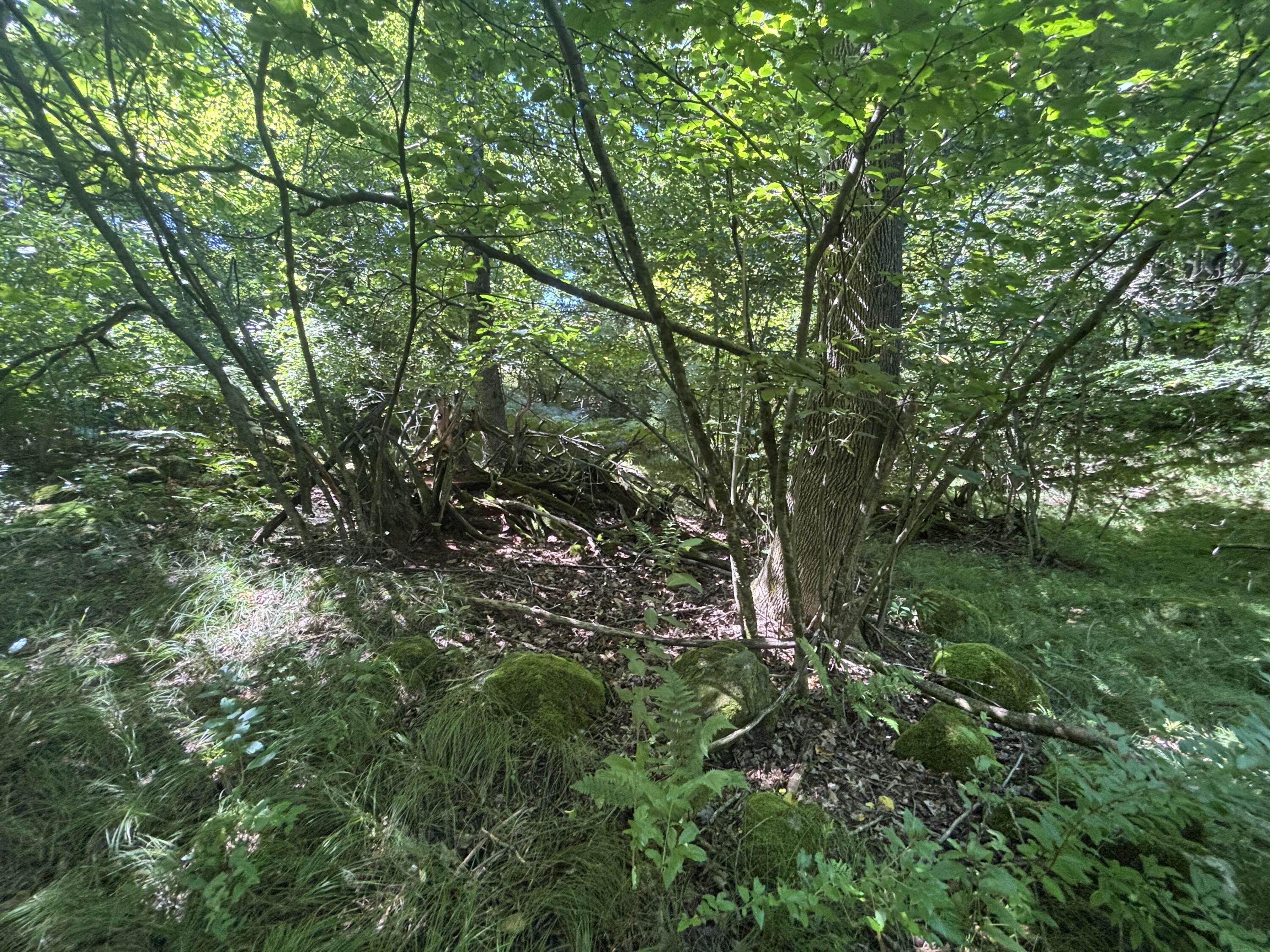 10.45 A Campbell Rd Branch Branch, MI 49402 - Photo 24 of 29 IMG_8789