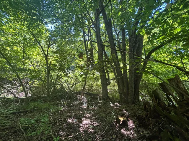 $45,000 | 10.45 A Campbell Rd Branch, Branch, MI 49402