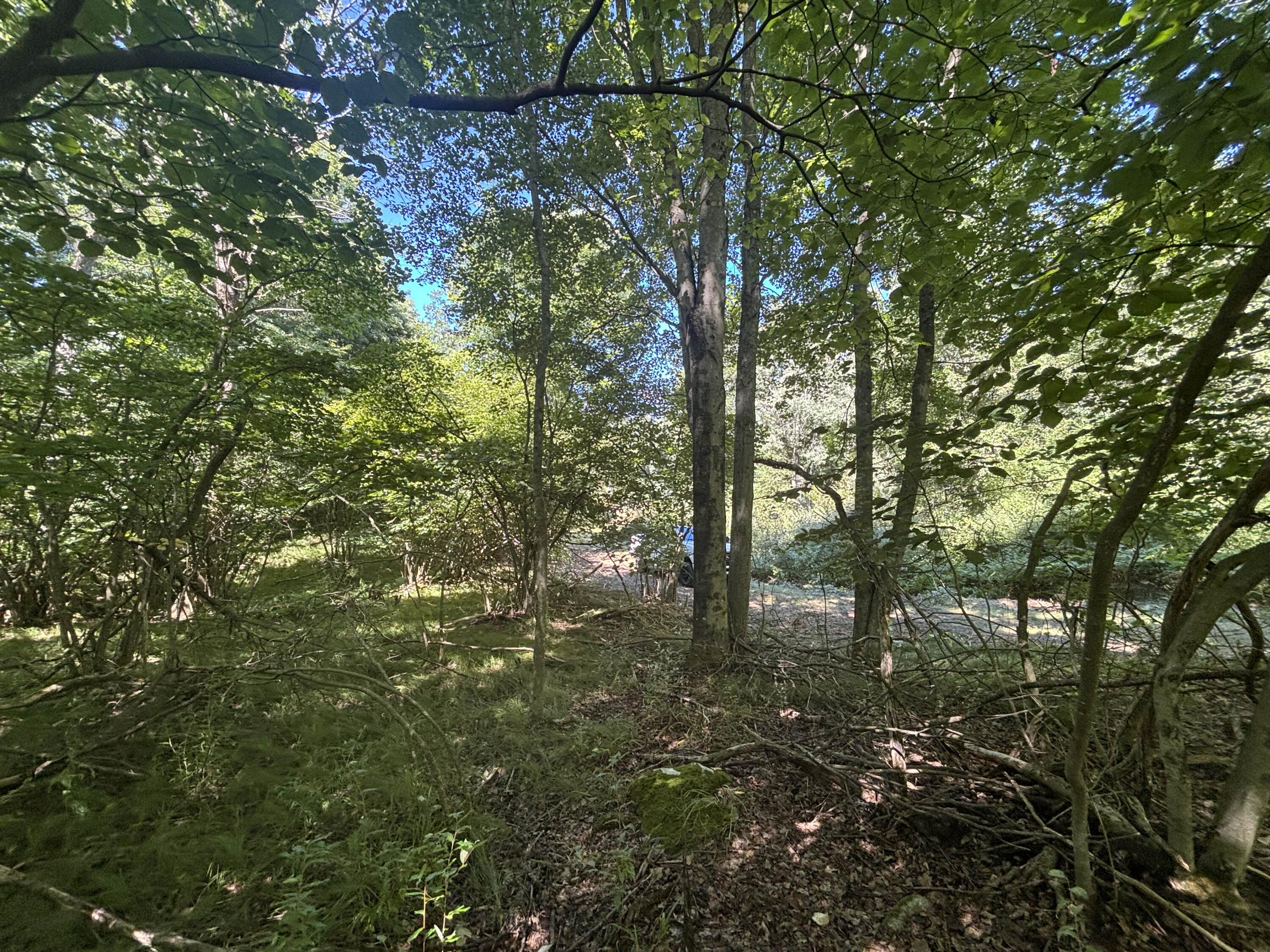 10.45 A Campbell Rd Branch Branch, MI 49402 - Photo 26 of 29 IMG_8792_2