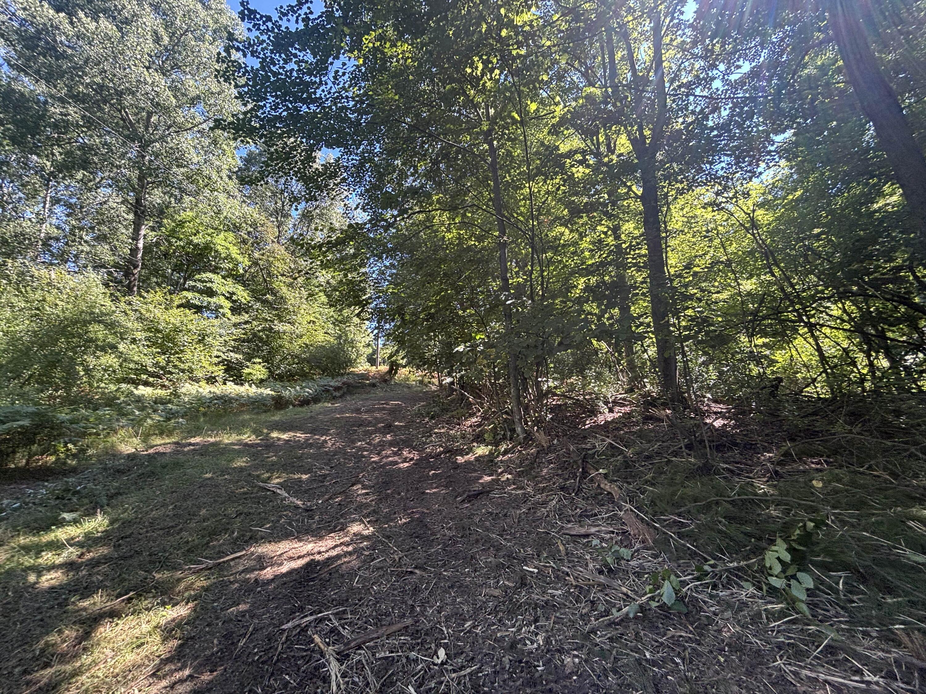 10.45 A Campbell Rd Branch Branch, MI 49402 - Photo 27 of 29 IMG_8794_2