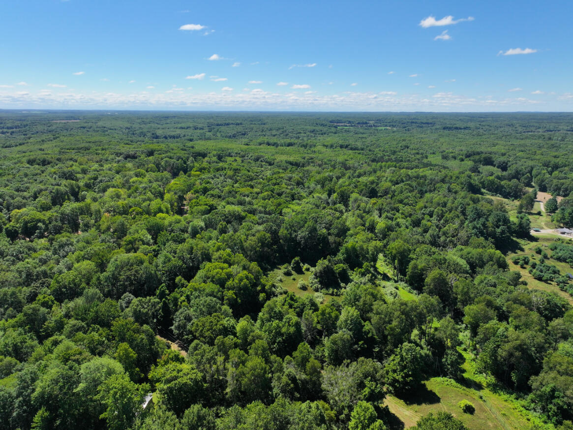 10.45 A Campbell Rd Branch Branch, MI 49402 - Photo 3 of 29 DJI_20250813124217_0881_D
