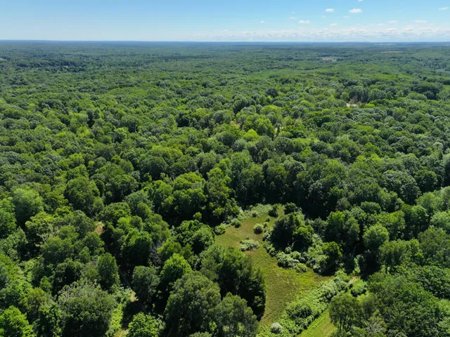 $45,000 | 10.45 A Campbell Rd Branch, Branch, MI 49402