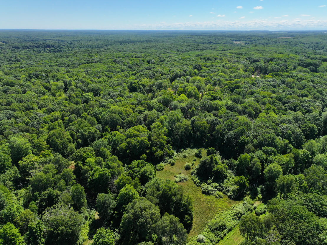 10.45 A Campbell Rd Branch Branch, MI 49402 - Photo 6 of 29 DJI_20250813124237_0885_D