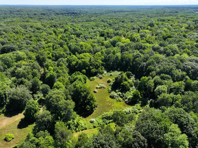 $45,000 | 10.45 A Campbell Rd Branch, Branch, MI 49402