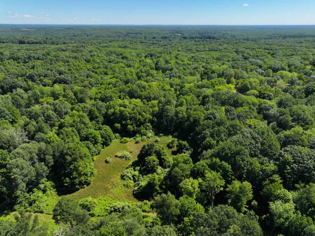 10.45 A Campbell Rd Branch Branch, MI 49402 - Photo 8 of 29 DJI_20250813124408_0889_D