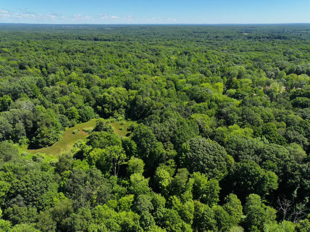 10.45 A Campbell Rd Branch Branch, MI 49402 - Photo 9 of 29 DJI_20250813124415_0890_D