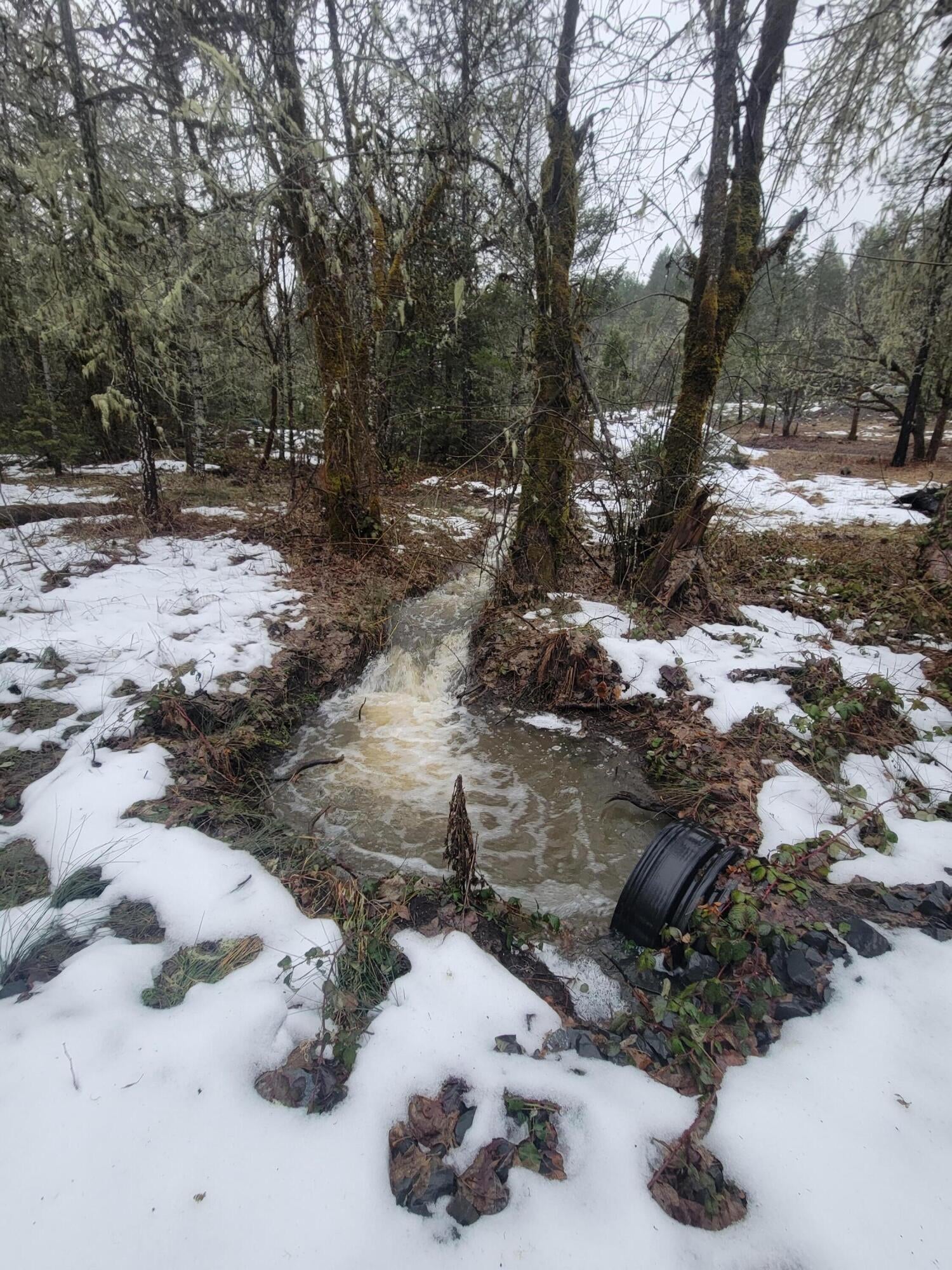 1021 Greenview Road Cave Junction, OR 97523 - Photo 27 of 27 27- snowmelt-spring rain 1