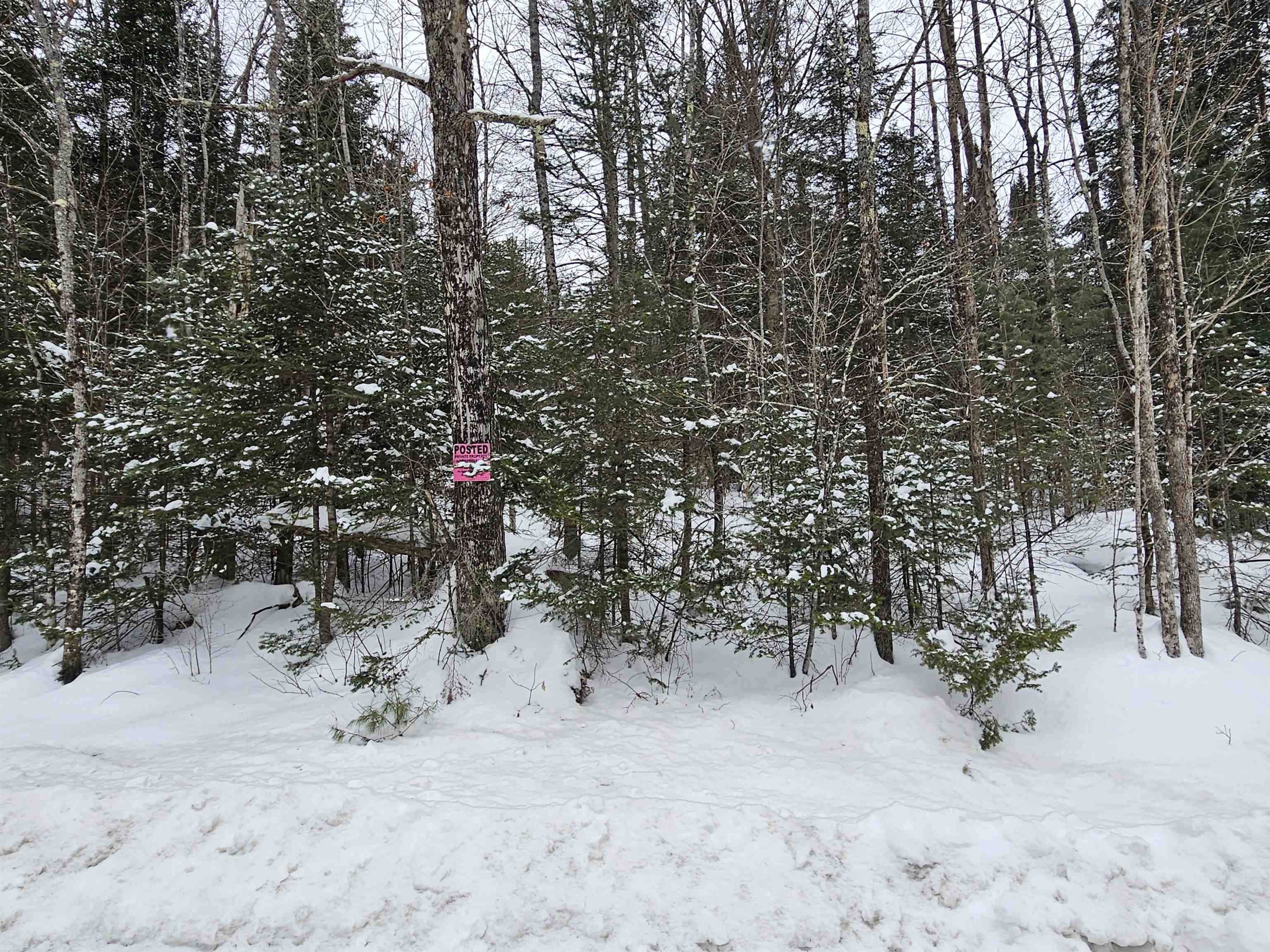 Lot 11-12 Brook Road Lyman, NH 03585 - Photo 2 of 19 Gallery Image 2
