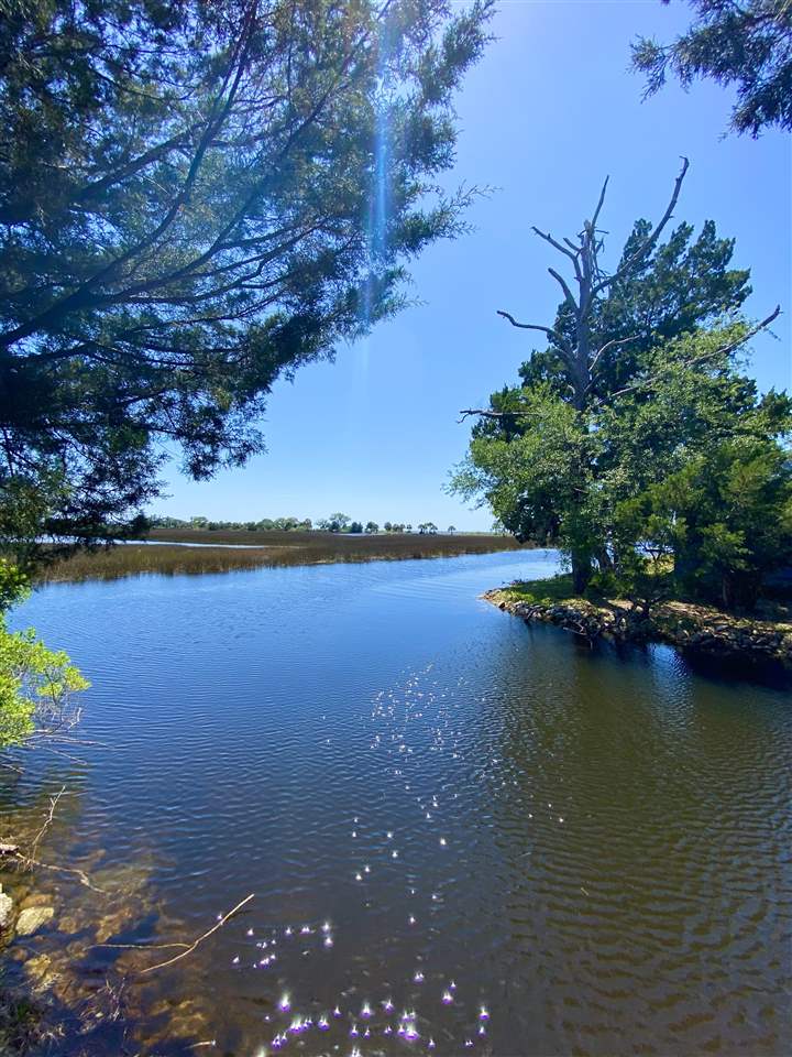 Lot 67 Sandpiper Road Perry, FL 32348 - Photo 2 of 17 Gallery Image 2