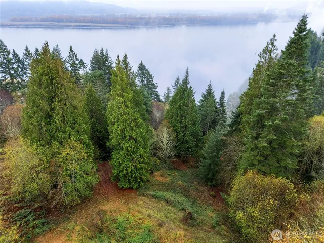 a view of a lake with lots of trees