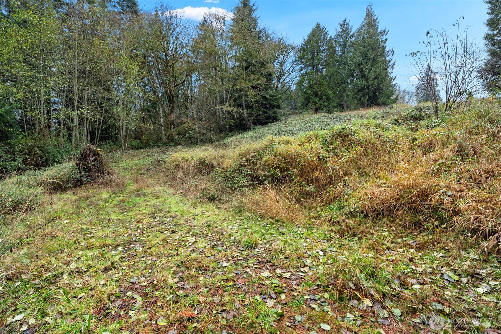 205 Newt Estates Road Longview, WA 98632 - Photo 15 of 22 a view of a yard with a tree