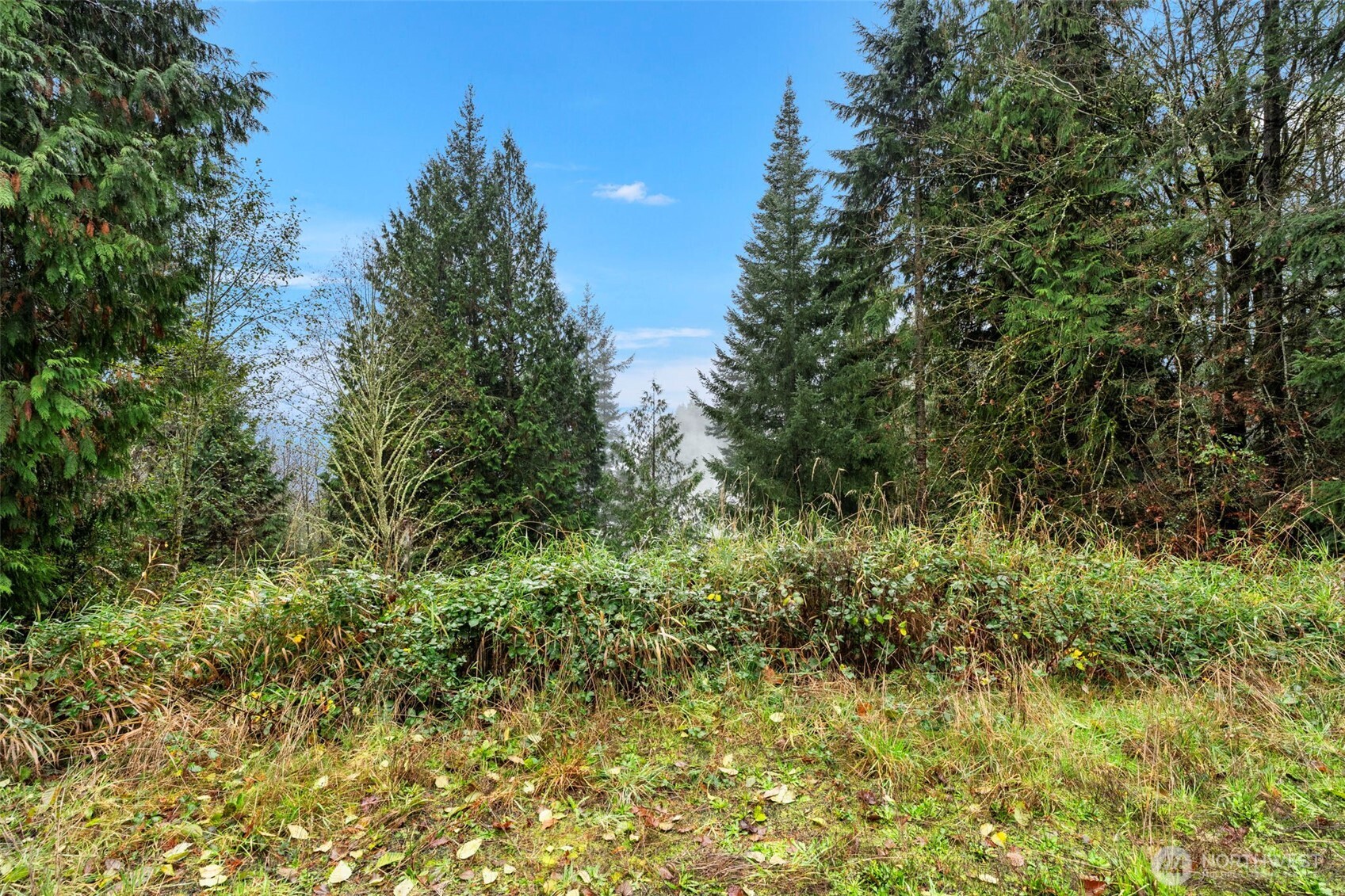 205 Newt Estates Road Longview, WA 98632 - Photo 17 of 22 a view of a garden