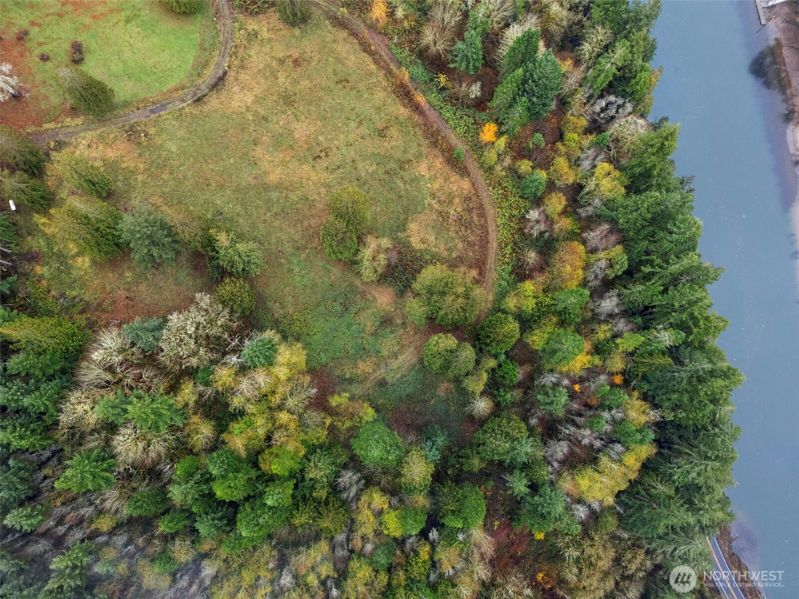 205 Newt Estates Road Longview, WA 98632 - Photo 2 of 22 a view of a forest with a tree