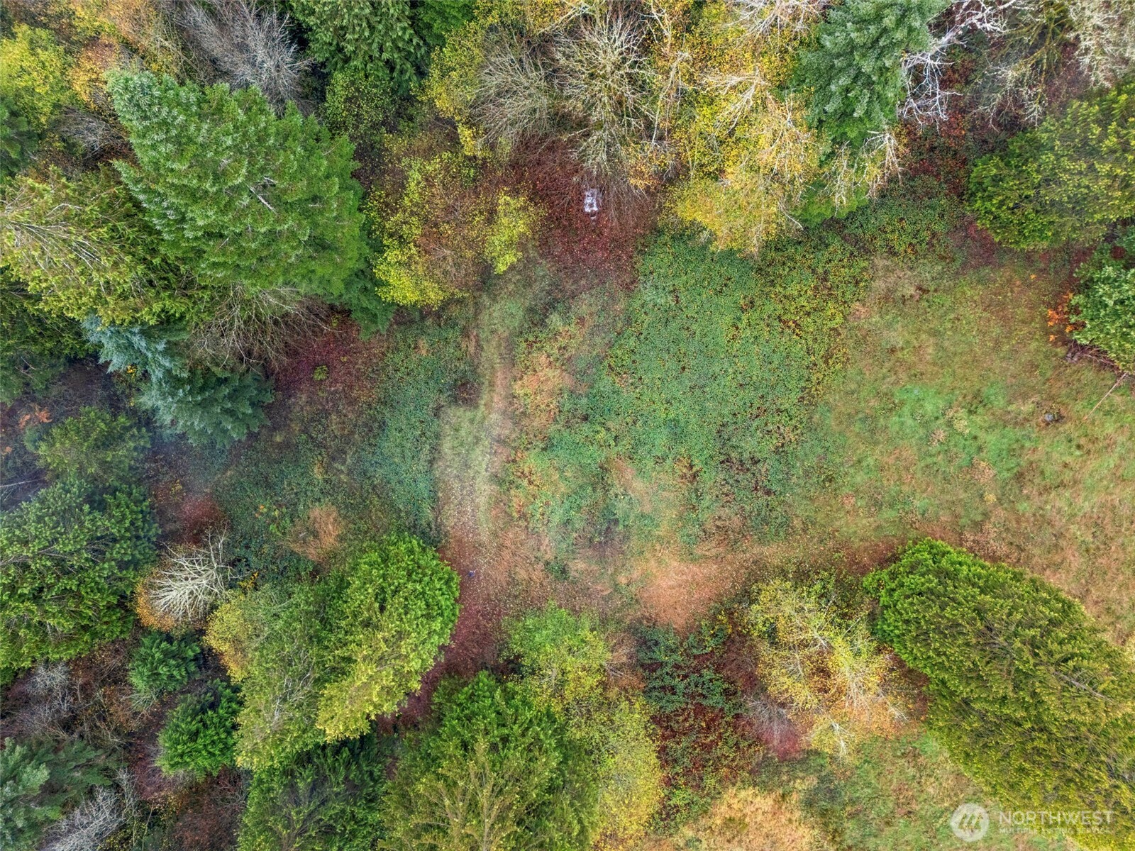 205 Newt Estates Road Longview, WA 98632 - Photo 21 of 22 a view of a garden