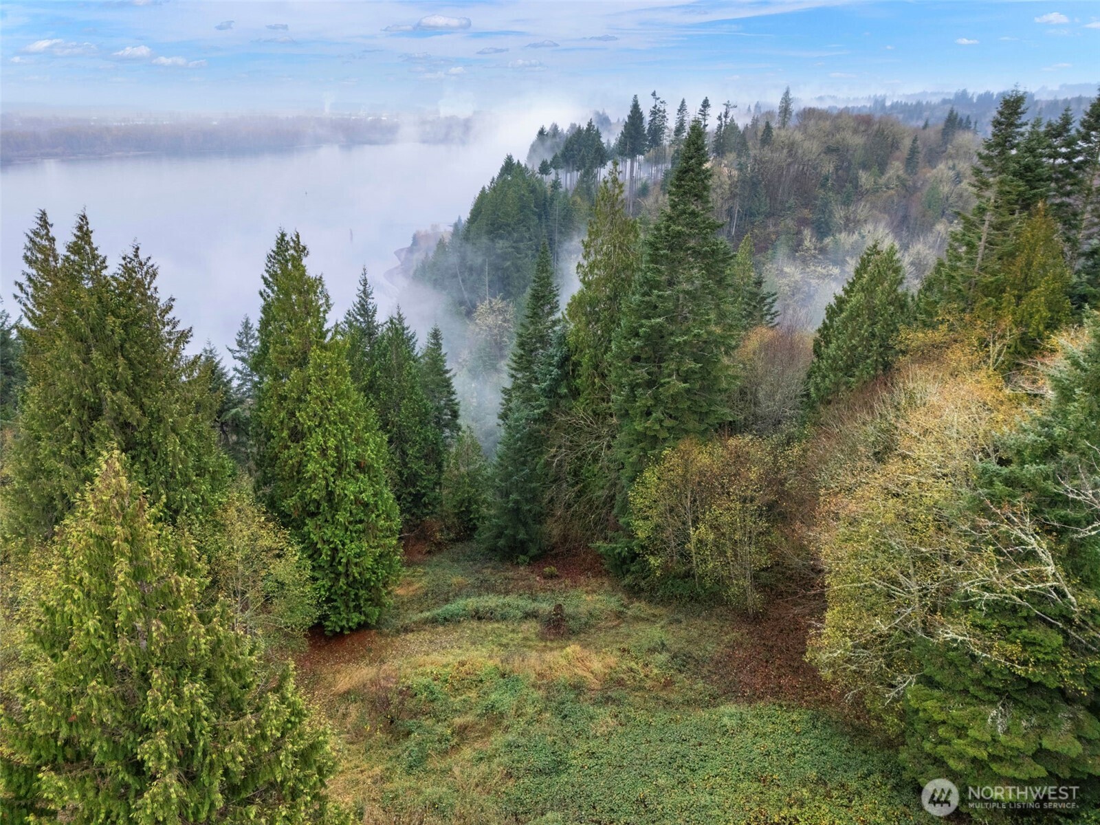 205 Newt Estates Road Longview, WA 98632 - Photo 22 of 22 a view of a forest with a houses