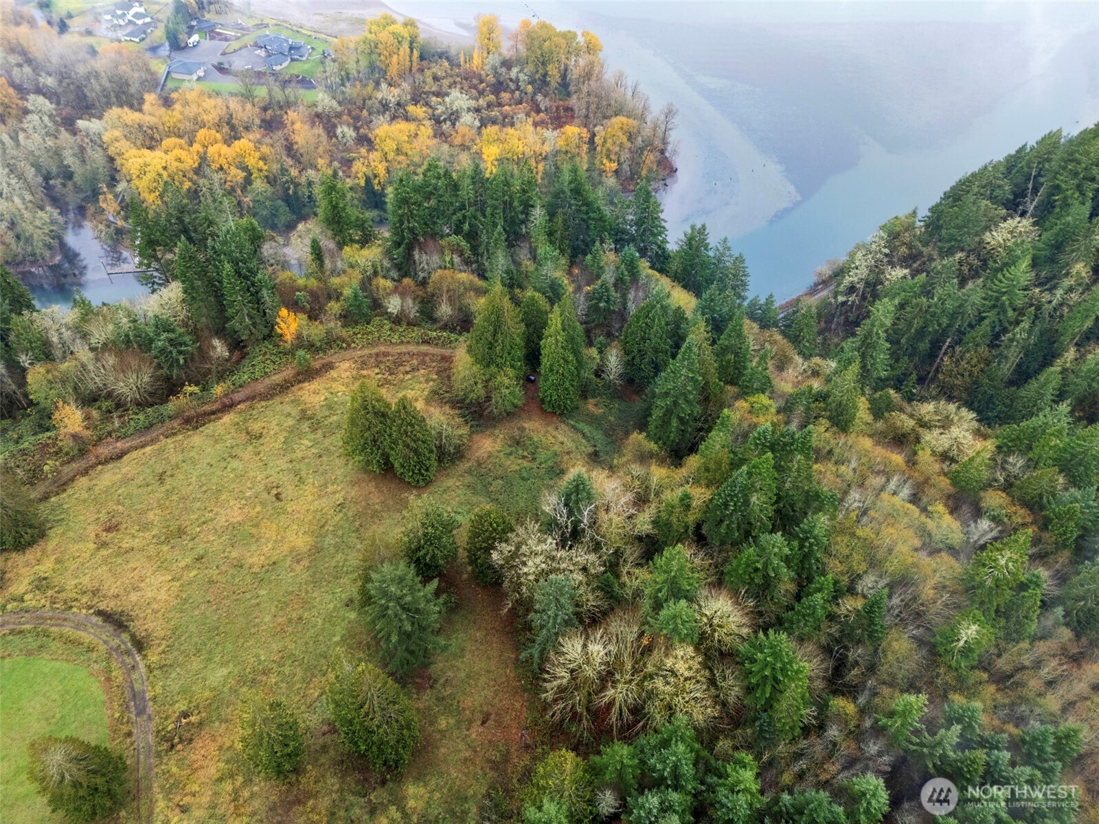 205 Newt Estates Road Longview, WA 98632 - Photo 3 of 22 a view of a yard with plants and large trees