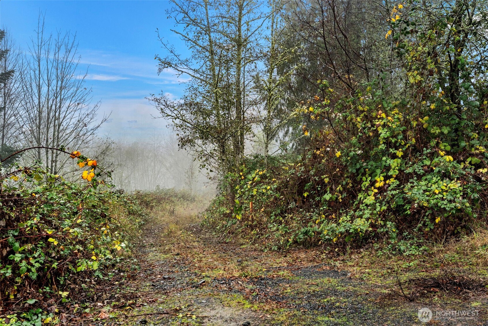 205 Newt Estates Road Longview, WA 98632 - Photo 8 of 22 a view of a lake with a tree in the background