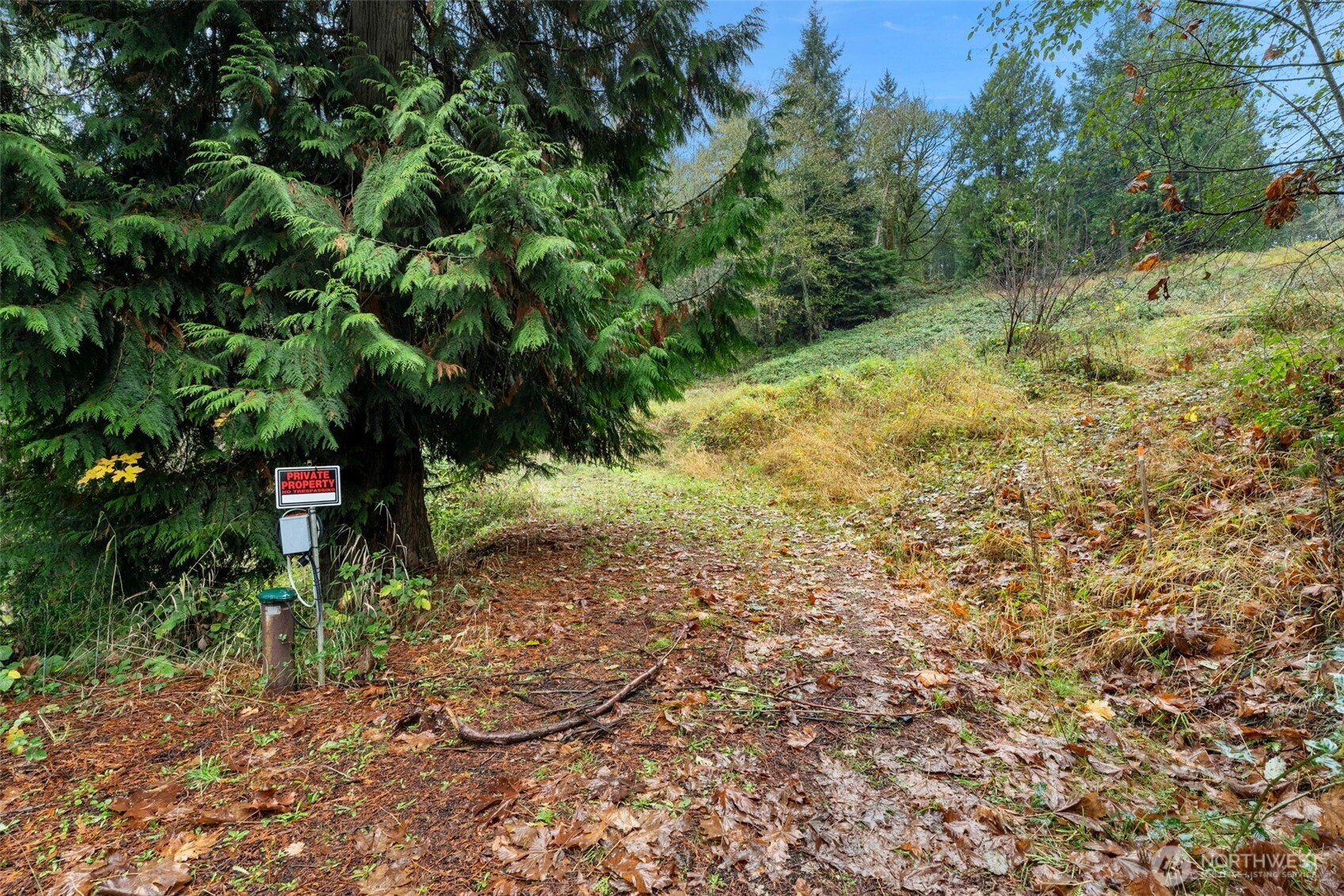 205 Newt Estates Road Longview, WA 98632 - Photo 9 of 22 a view of a yard with plants and large trees