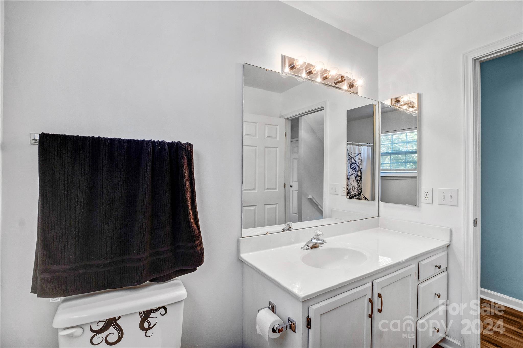 12502 Chickasaw Drive Huntersville, NC 28078 - Photo 25 of 39 a bathroom with a sink and a mirror