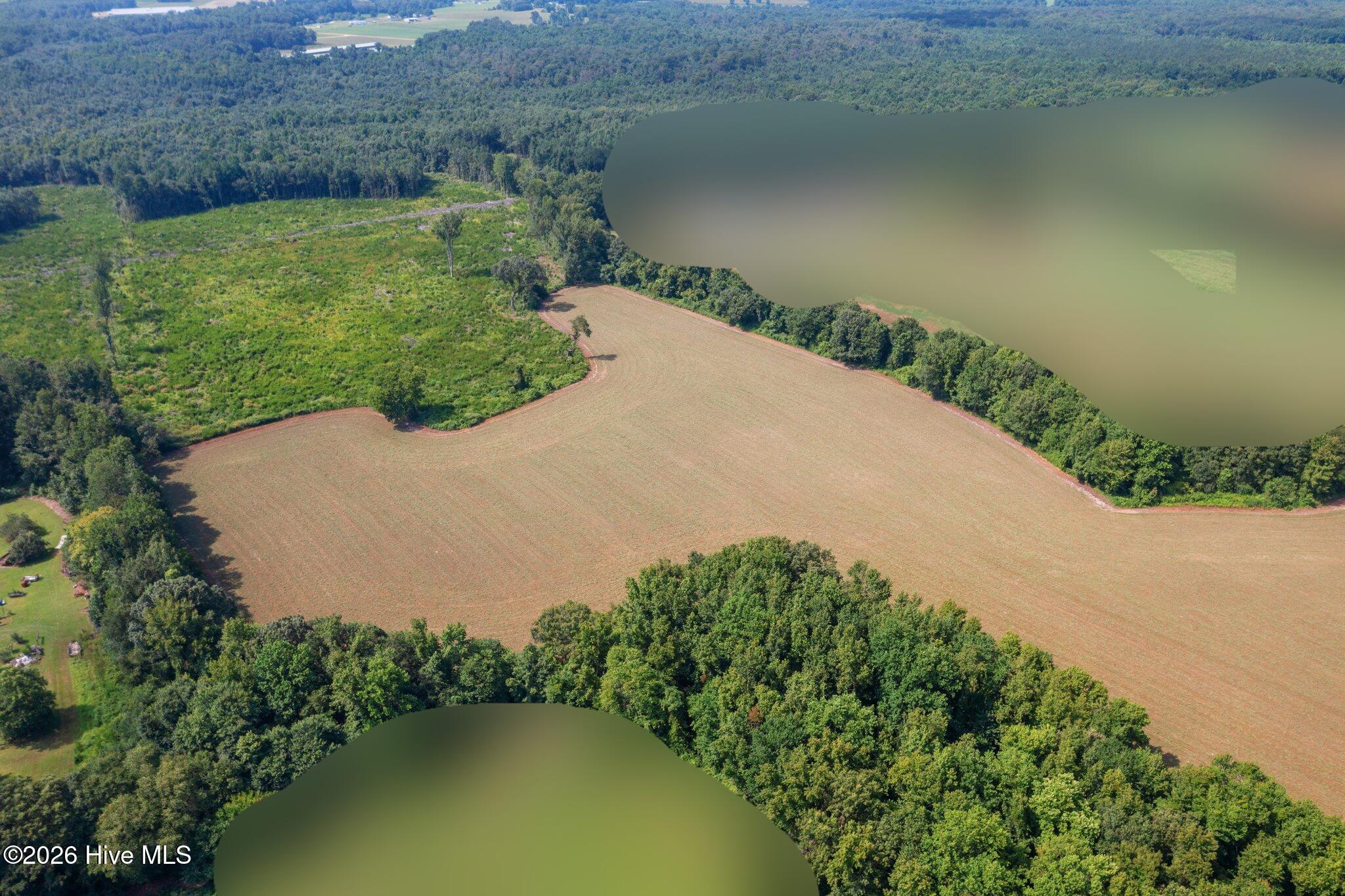 667 B Loop Road Goldsboro, NC 27530 - Photo 3 of 5 Blur-17082026-03