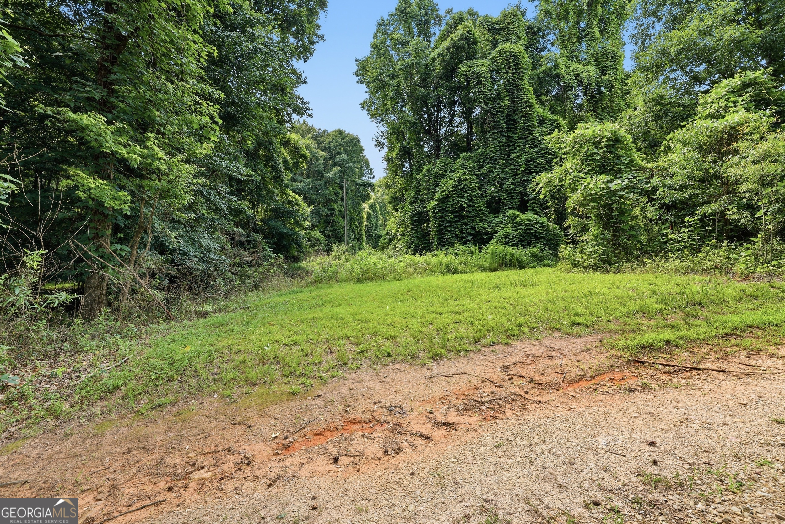 0 Lord Road Commerce, GA 30530 - Photo 7 of 22