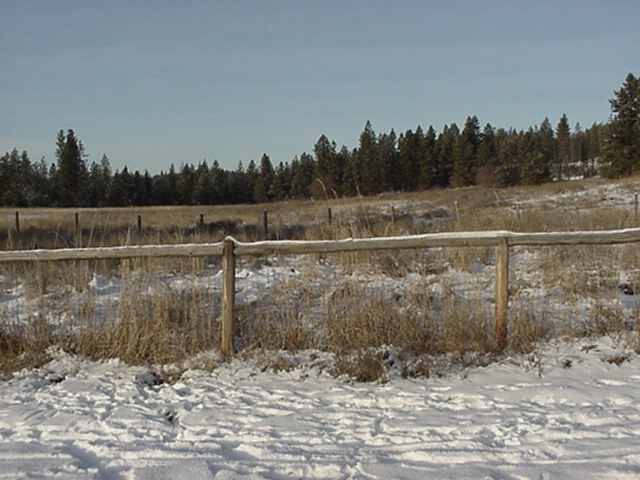 3171 Skok Road Valley, WA 99181 - Photo 3 of 6