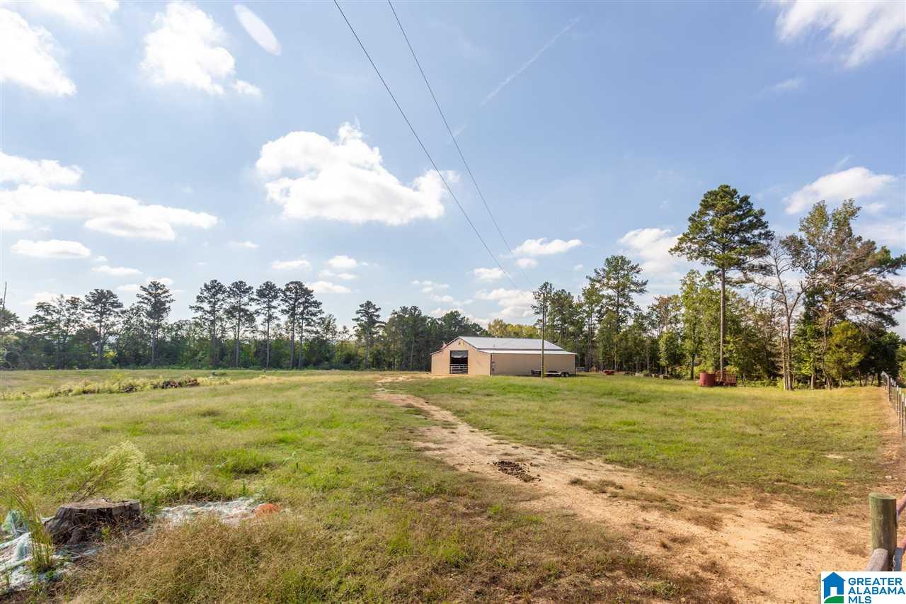 260 Sulphur Springs Road Lincoln, AL 35096 - Photo 43 of 47
