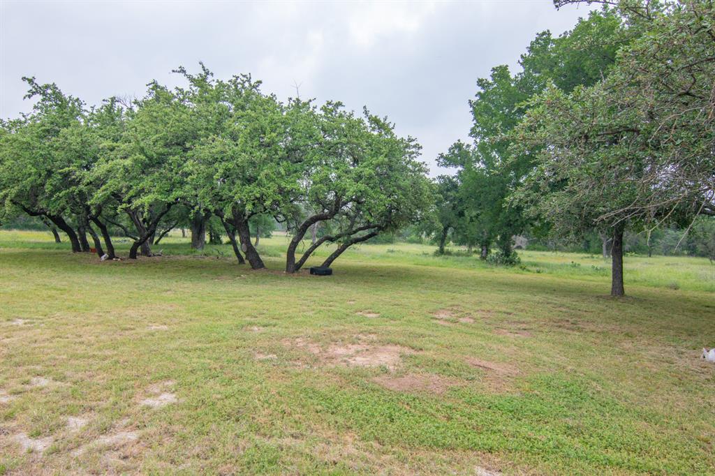 125 Circle P Heights Road Brownwood, TX 76801 - Photo 10 of 39