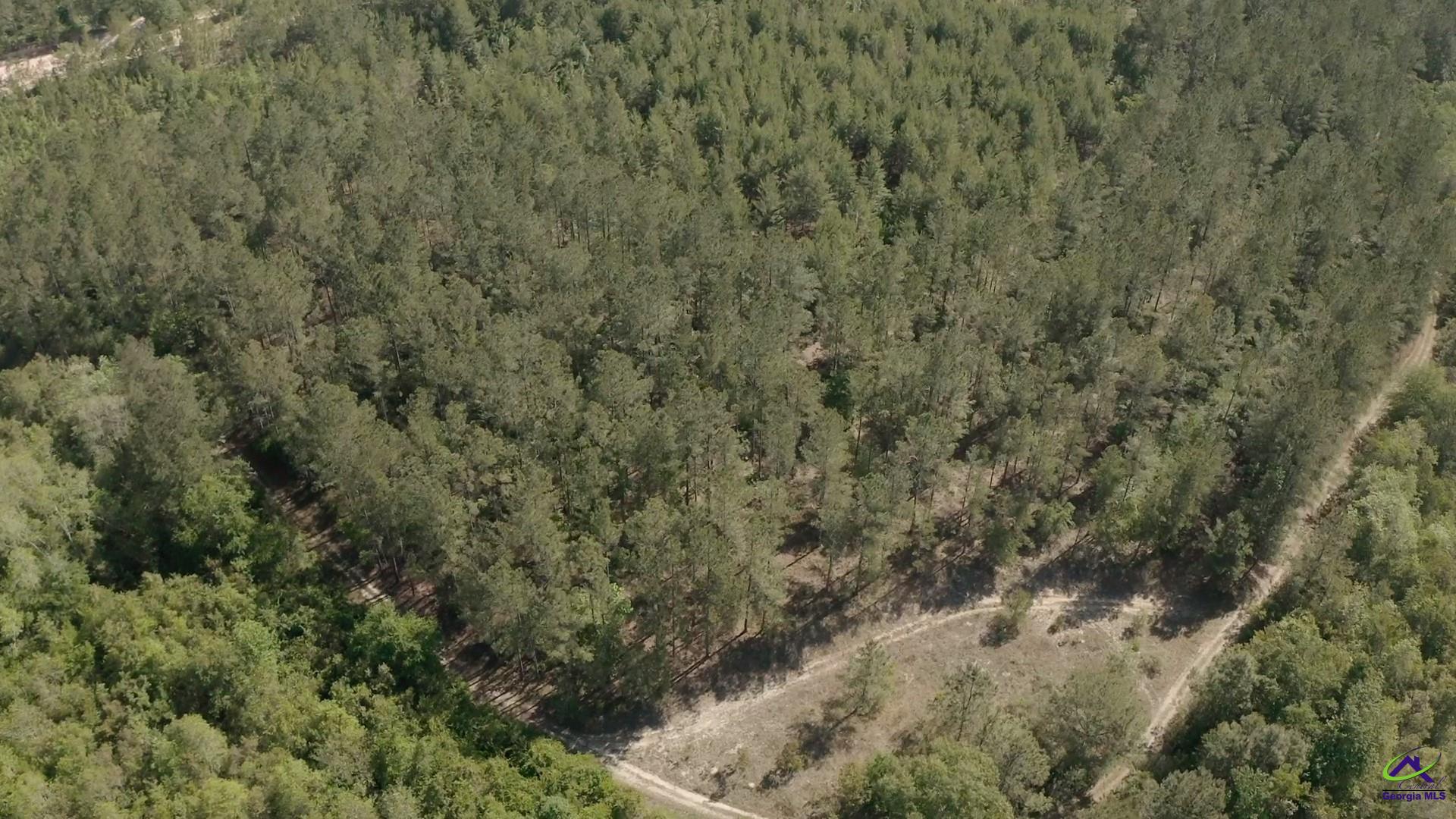 Carl Sutton Road Lizella, GA 31052 - Photo 21 of 23