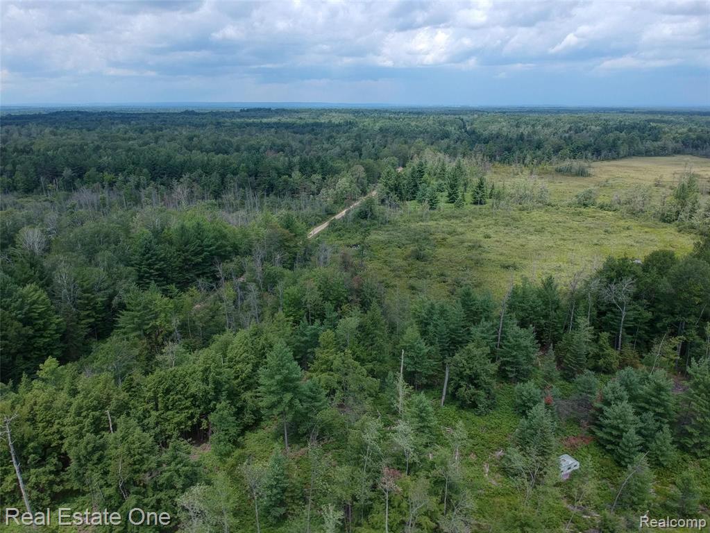 0 South Morrison Road West Branch, MI 48661 - Photo 5 of 38