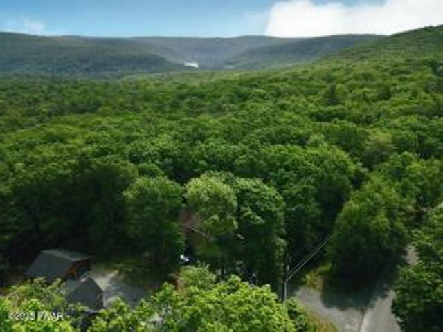 118 Eagle Rock Road Lackawaxen, PA 18435 - Photo 78 of 83 Birds Eye