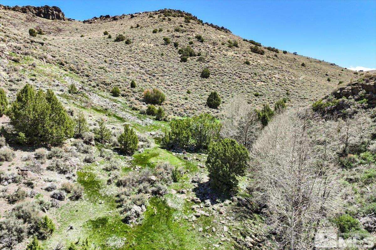 0 Pah Rah Springs Road Reno, NV 89510 - Photo 15 of 28 a view of a snow on a beach