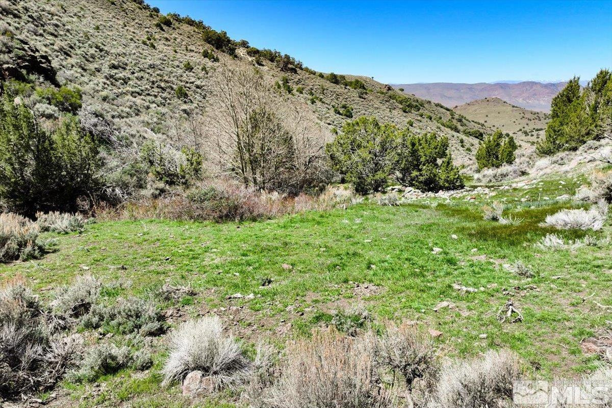 0 Pah Rah Springs Road Reno, NV 89510 - Photo 17 of 28 a view of a lush green field with a tree in the background