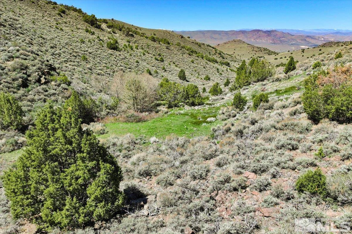 0 Pah Rah Springs Road Reno, NV 89510 - Photo 25 of 28 a view of a forest with mountains in the background