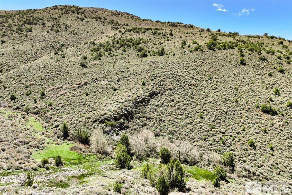 0 Pah Rah Springs Road Reno, NV 89510 - Photo 26 of 28