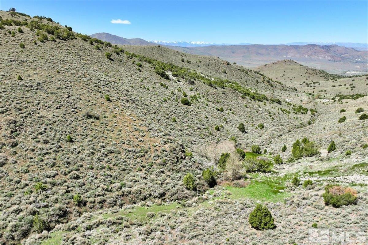 0 Pah Rah Springs Road Reno, NV 89510 - Photo 28 of 28 a view of a field with mountains in the background