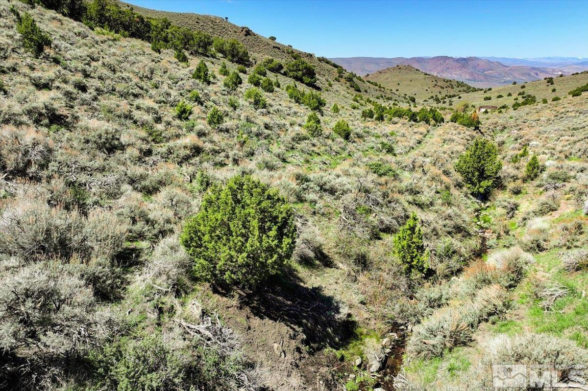 0 Pah Rah Springs Road Reno, NV 89510 - Photo 4 of 28 a view of a mountain range with trees in the background