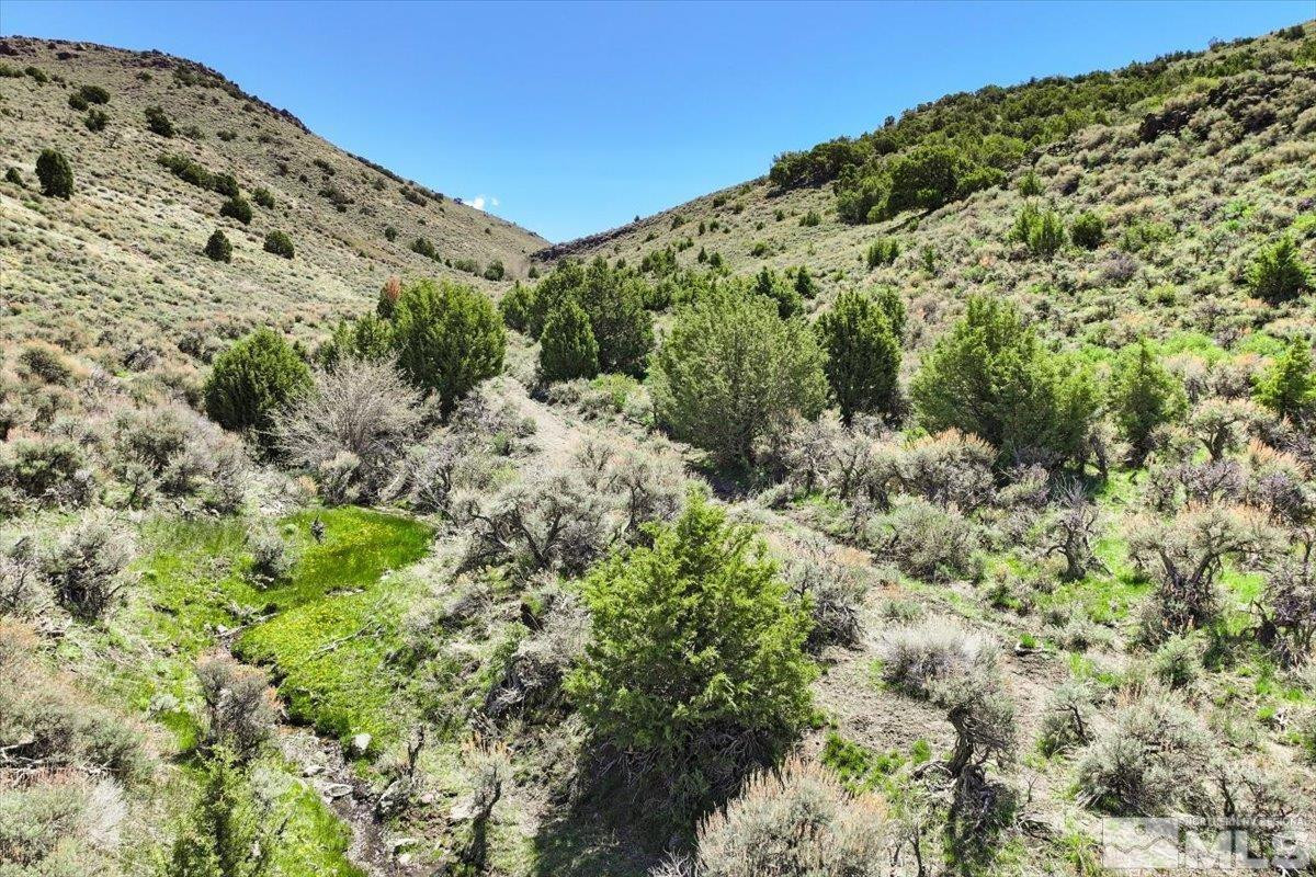 0 Pah Rah Springs Road Reno, NV 89510 - Photo 5 of 28 a view of a large trees