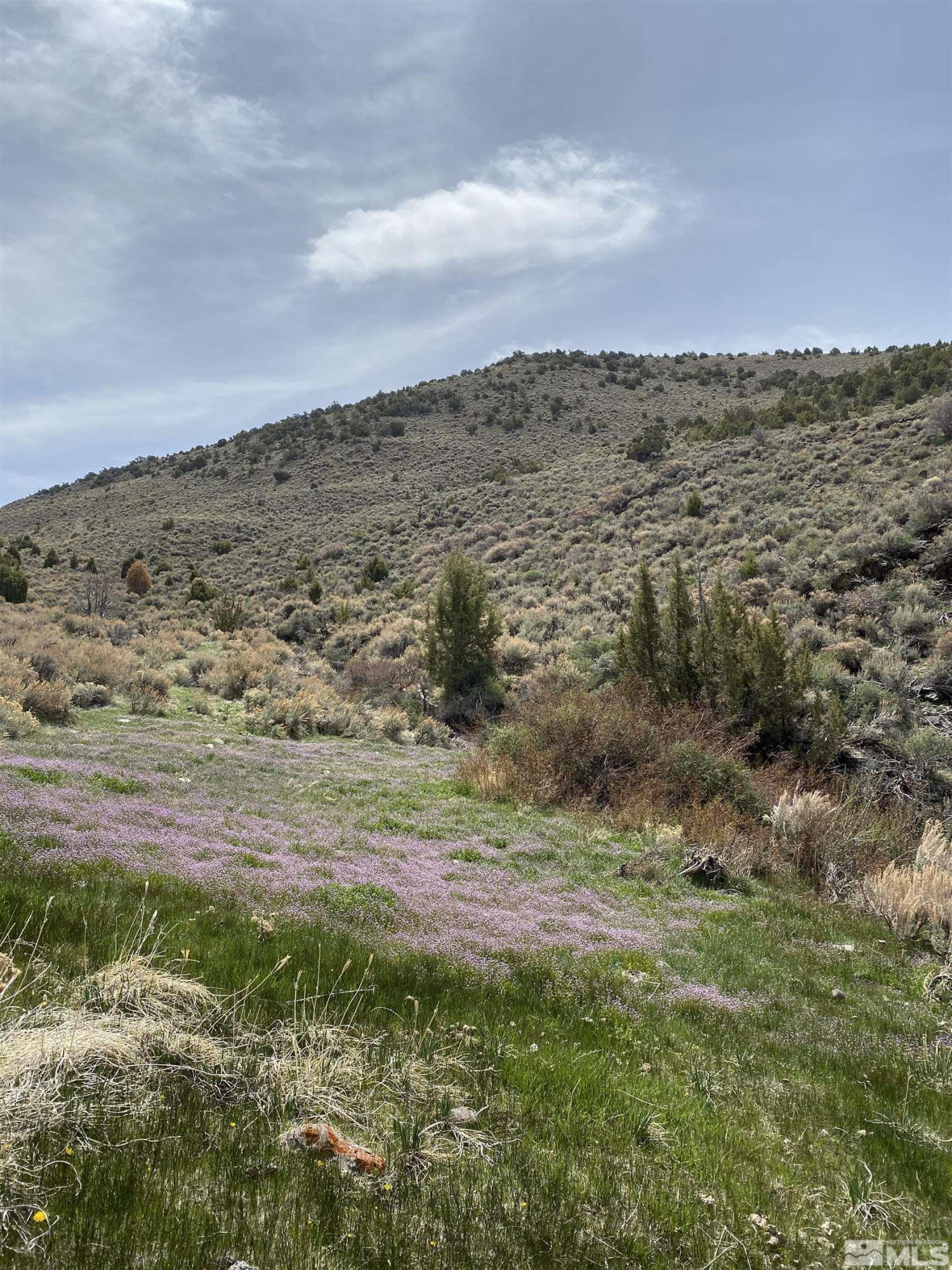 0 Pah Rah Springs Road Reno, NV 89510 - Photo 6 of 28 a view of city and mountain
