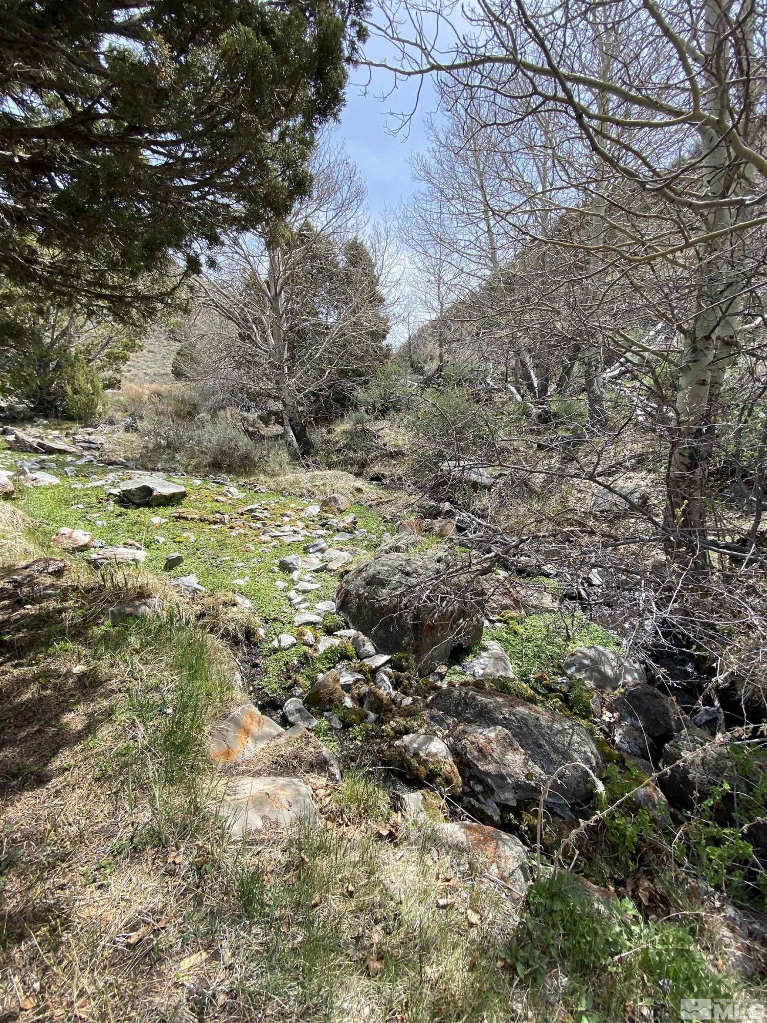 0 Pah Rah Springs Road Reno, NV 89510 - Photo 8 of 28 a view of outdoor space with green field and trees all around