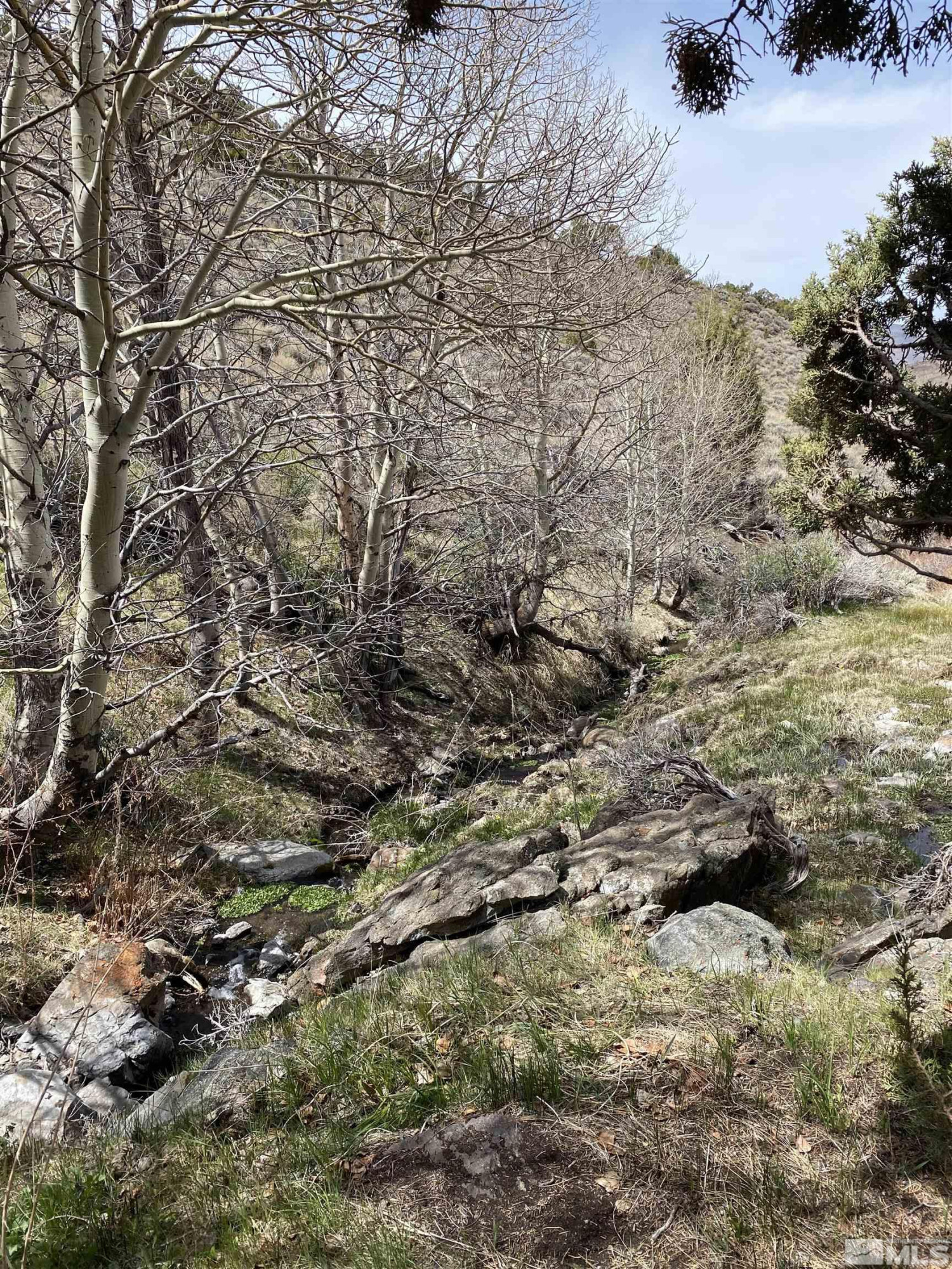 0 Pah Rah Springs Road Reno, NV 89510 - Photo 10 of 28 a view of a yard