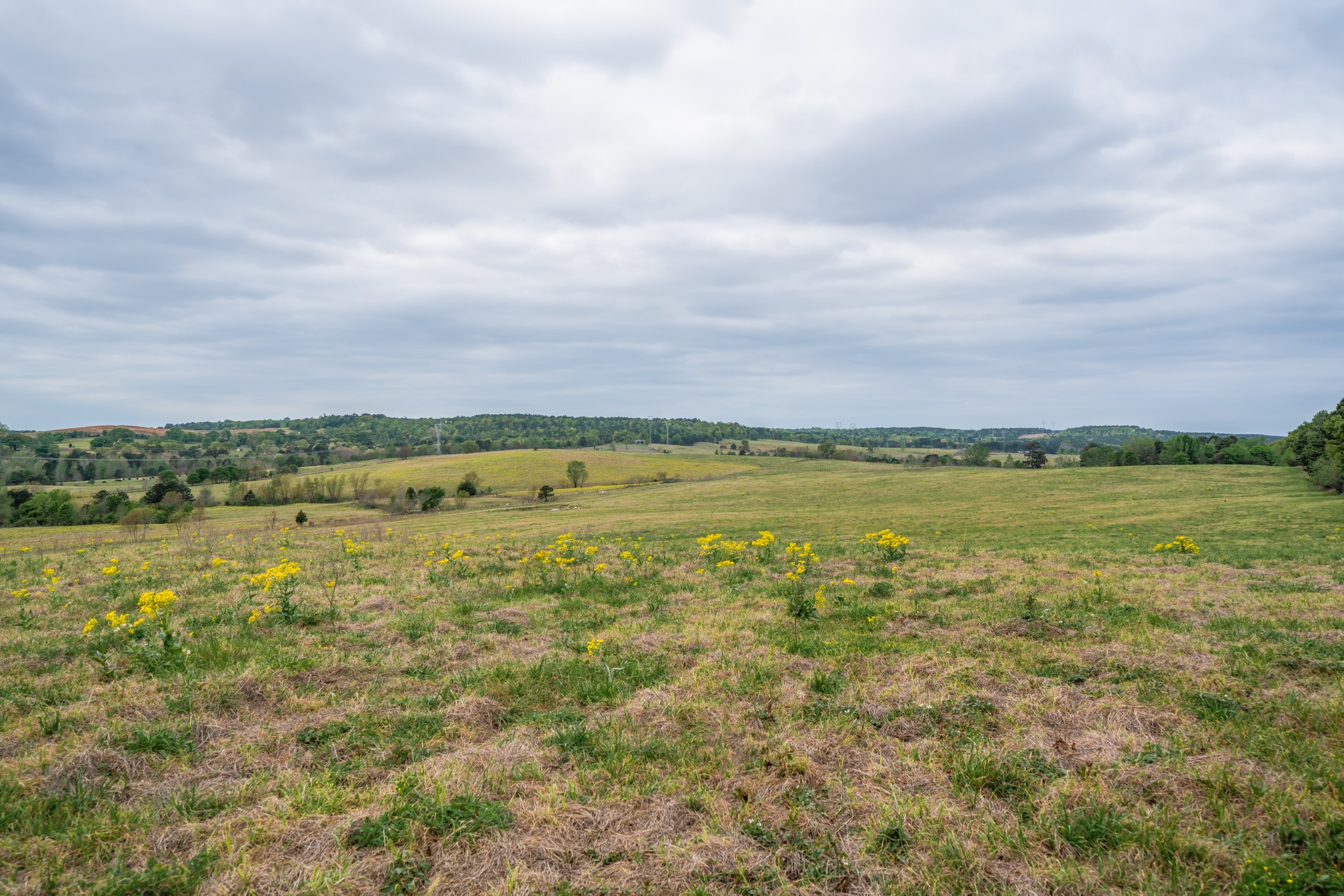 155 Ore City Tx 75683 Tyler, TX 75708 - Photo 19 of 50