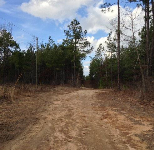 385 Bluffwood Road Wagener, SC 29164 - Photo 7 of 11