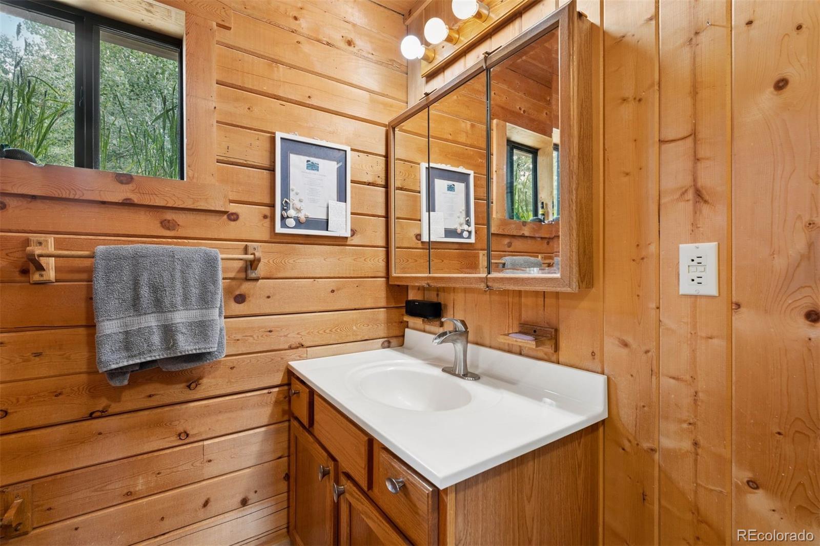 247 Bunny Road Bailey, CO 80421 - Photo 15 of 39 Gallery Image 15