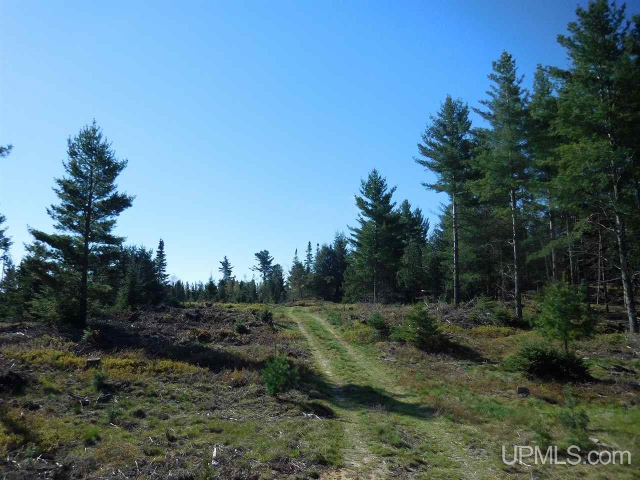 1480 Acres On Co Road Manistique, MI 49854 - Photo 8 of 49