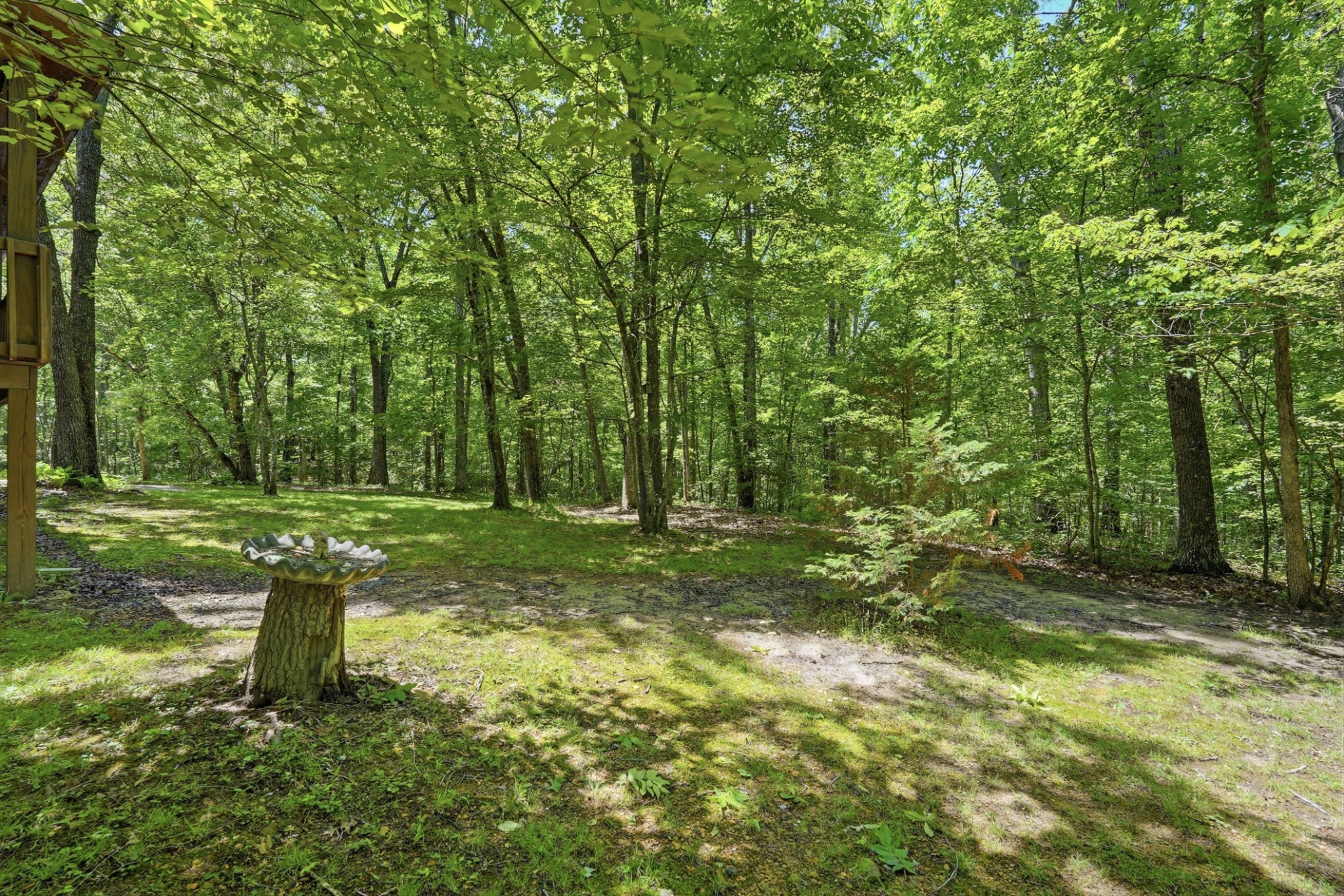 118 Cherokee Road Spencer, TN 38585 - Photo 30 of 85 a backyard of a house with lots of green space