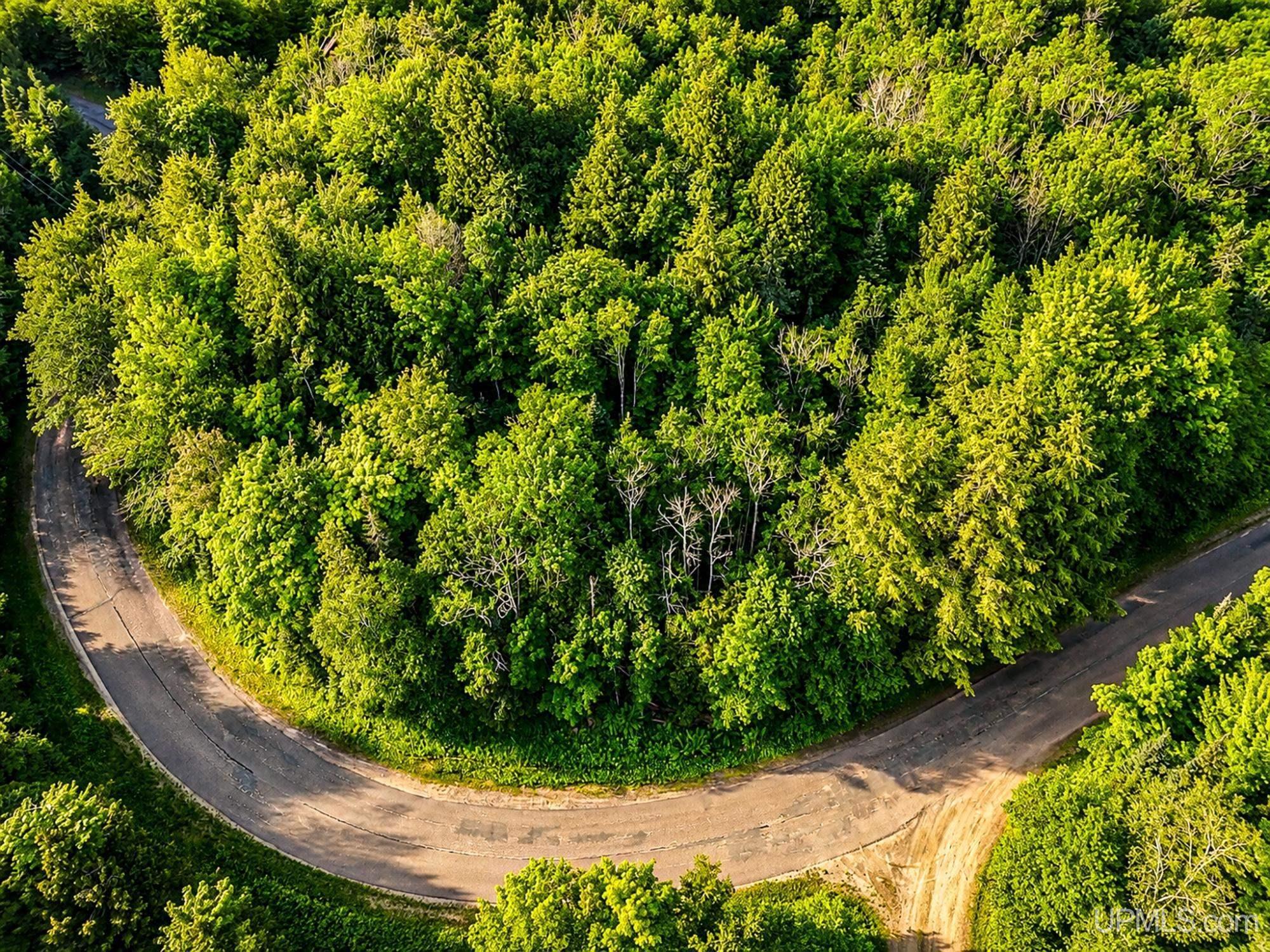 Lot 4 State Line Lake Road East Marenisco, MI 49947 - Photo 16 of 16