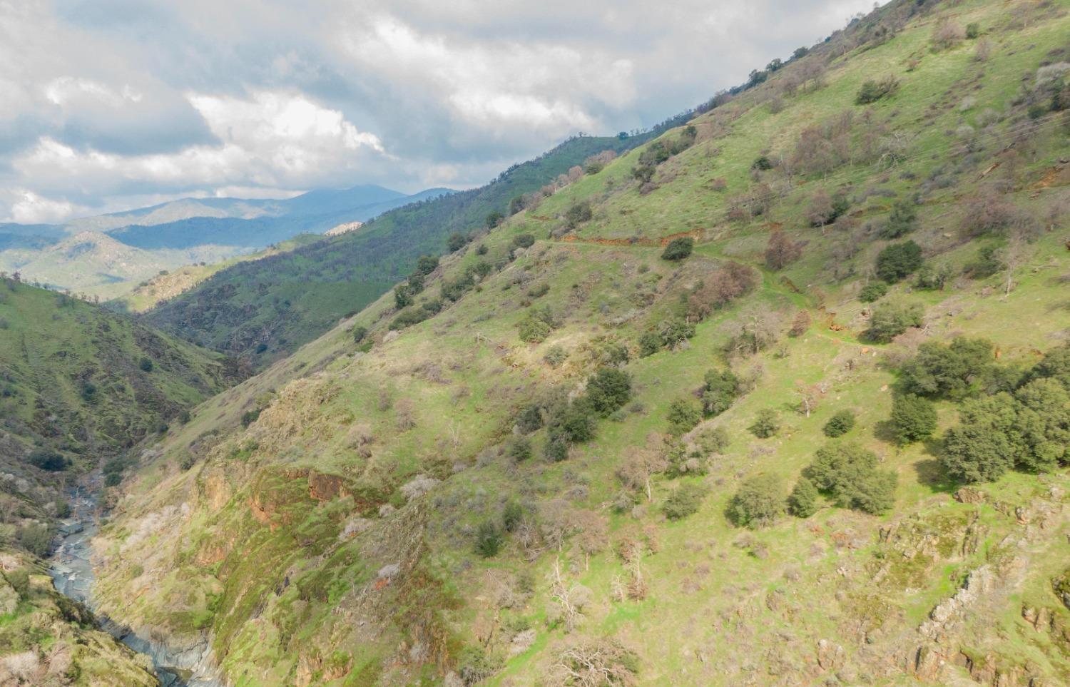 33220 East Kings Canyon Road Squaw Valley, CA 93675 - Photo 10 of 23 a view of a yard