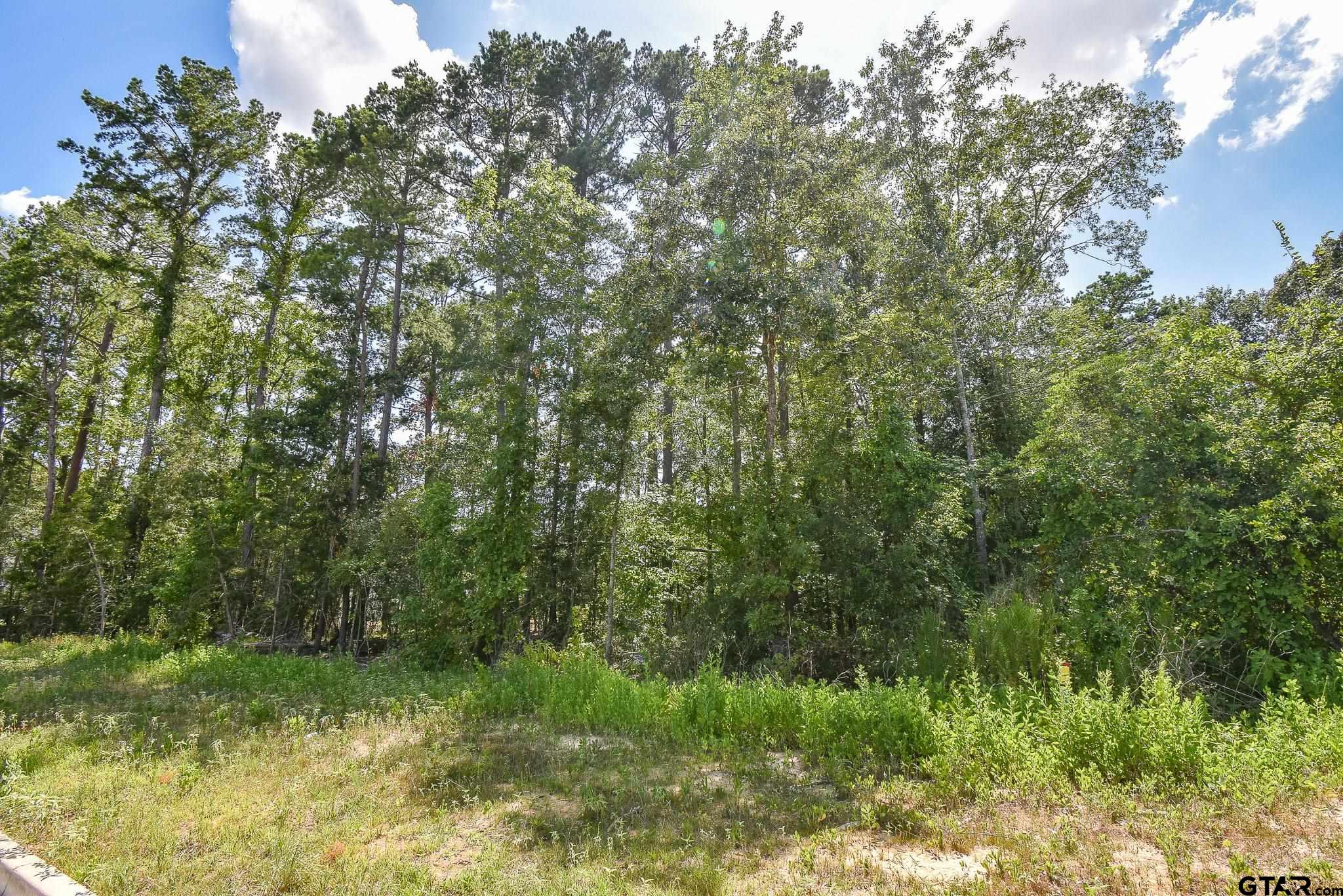 7933 Maple Lane Tyler, TX 75703 - Photo 3 of 10 a view of a lush green forest